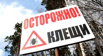 Страхование от клещей